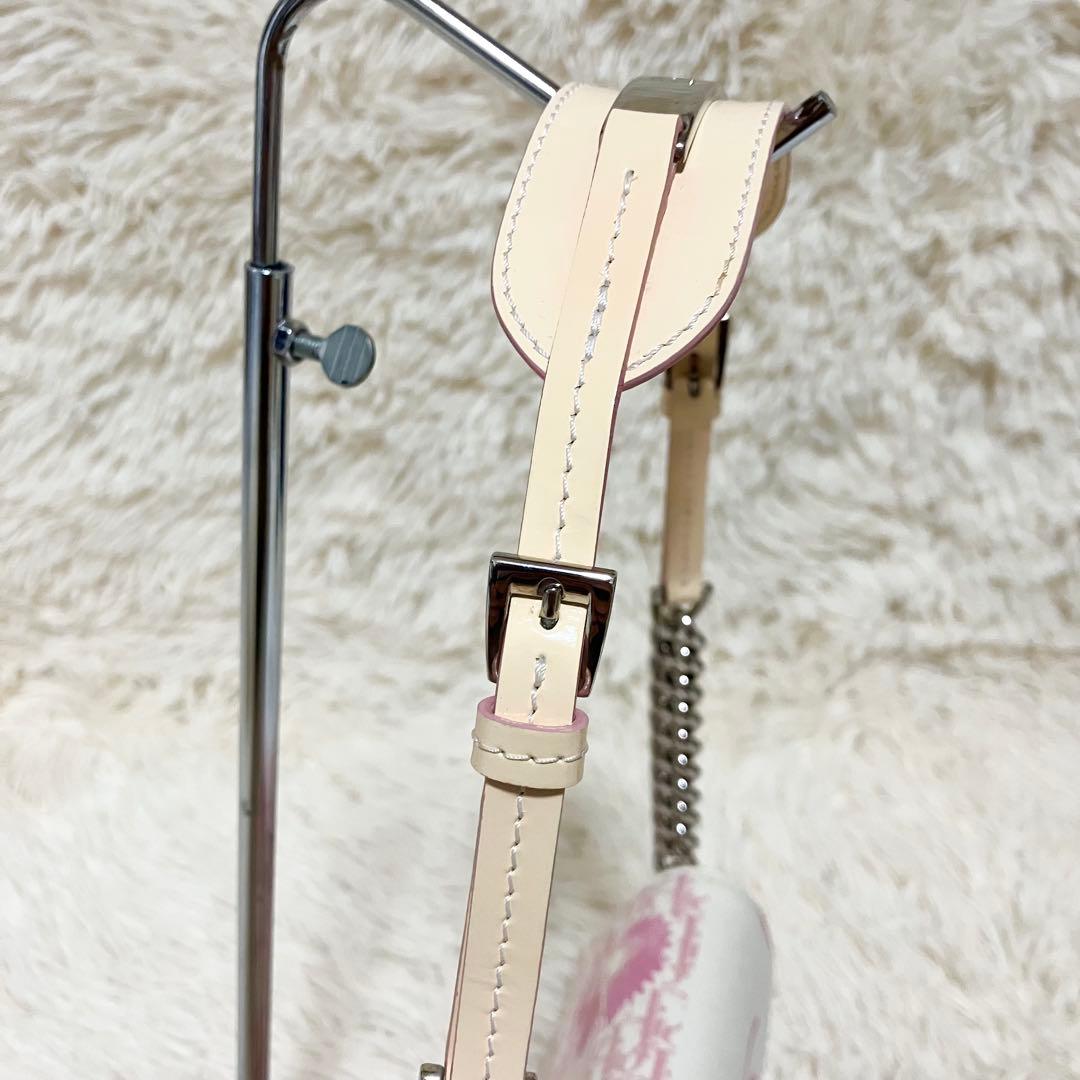 【美品・希少】 クリスチャンディオール チェーンポーチ トロッター フラワー