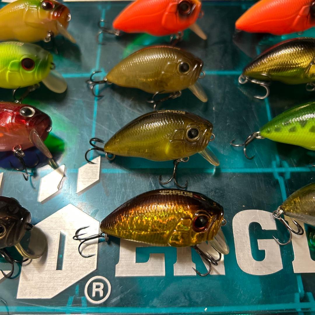 インキュベーター RUSH ラッシュ 60 DROP ドロップ 75