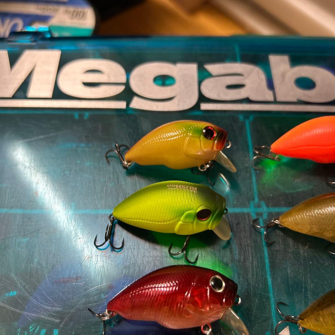 インキュベーター RUSH ラッシュ 60 DROP ドロップ 75