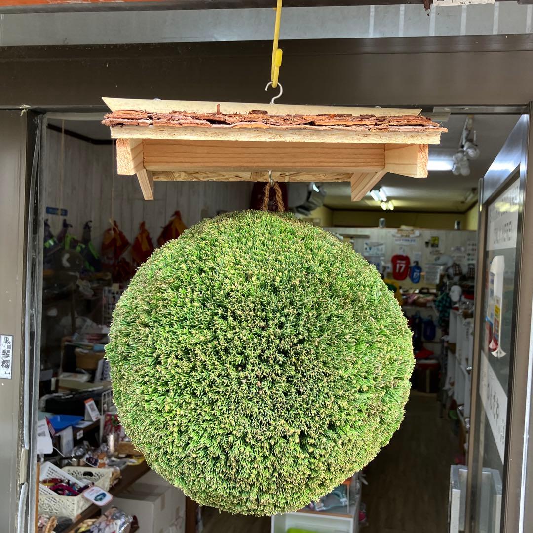 杉玉【屋根付き】④