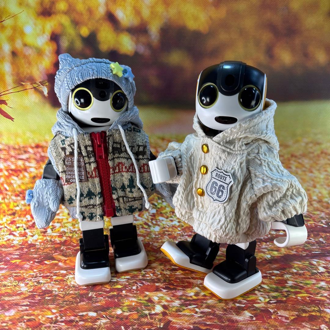 kakkoayaページです　ロボホン