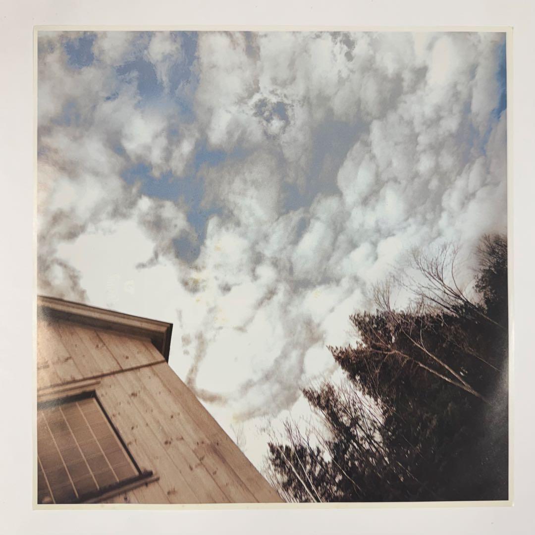 Phish Farmhouse LP オリジナル 激レア アナログ