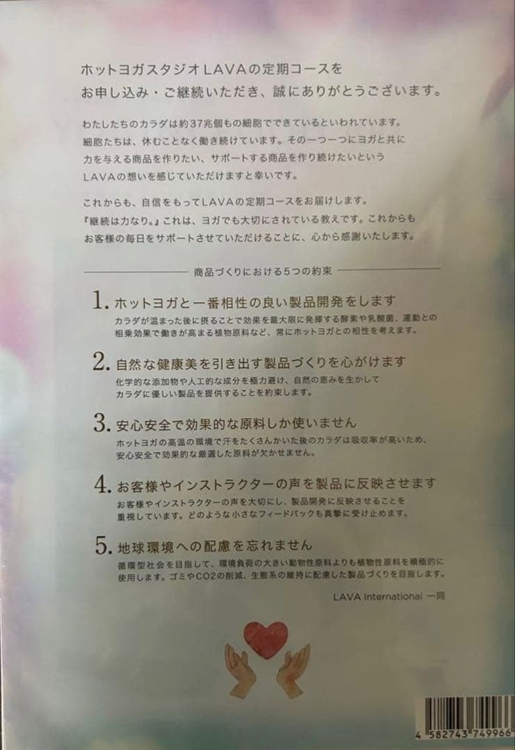 YOGINI FOOD 100 ストロベリー 38g