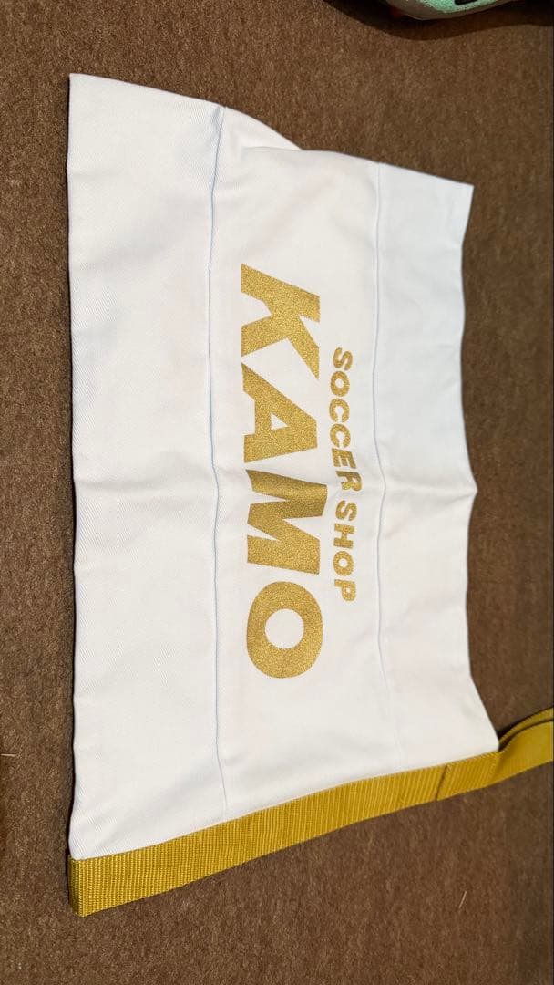 Mizuno ミズノ モレリア TF エリート