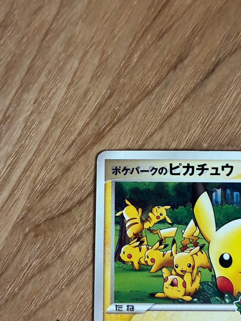 ポケパークのピカチュウ PROMO PCG-Pプロモカード 043/PCG-P