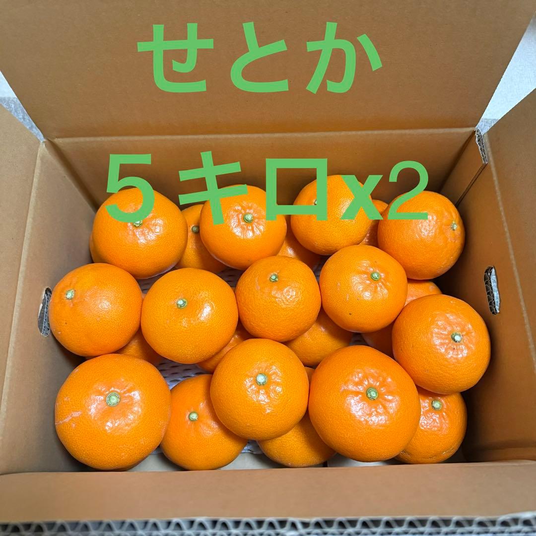 せとか(5kg)x2・特選L-3L玉