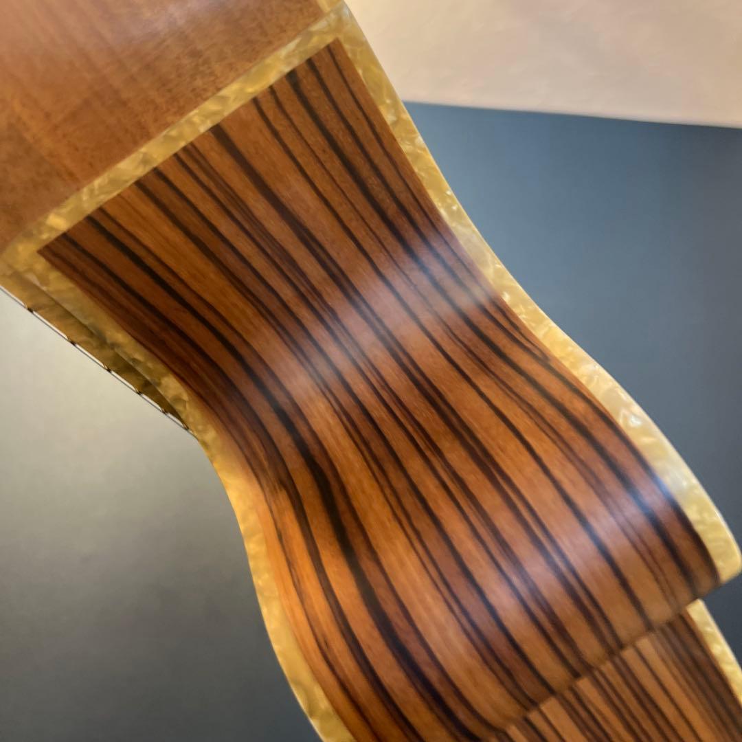 【5/31終了】【良杢目】日本未流通 MONICAアコースティックギター