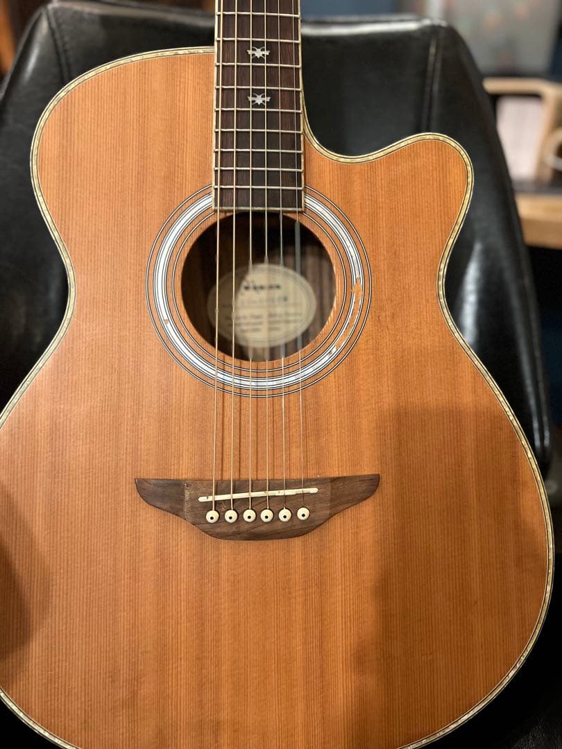 【5/31終了】【良杢目】日本未流通 MONICAアコースティックギター