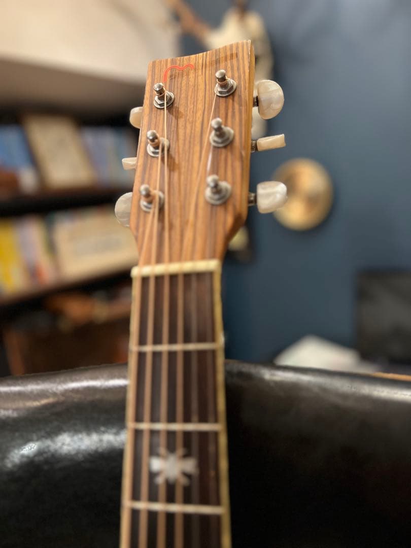 【5/31終了】【良杢目】日本未流通 MONICAアコースティックギター