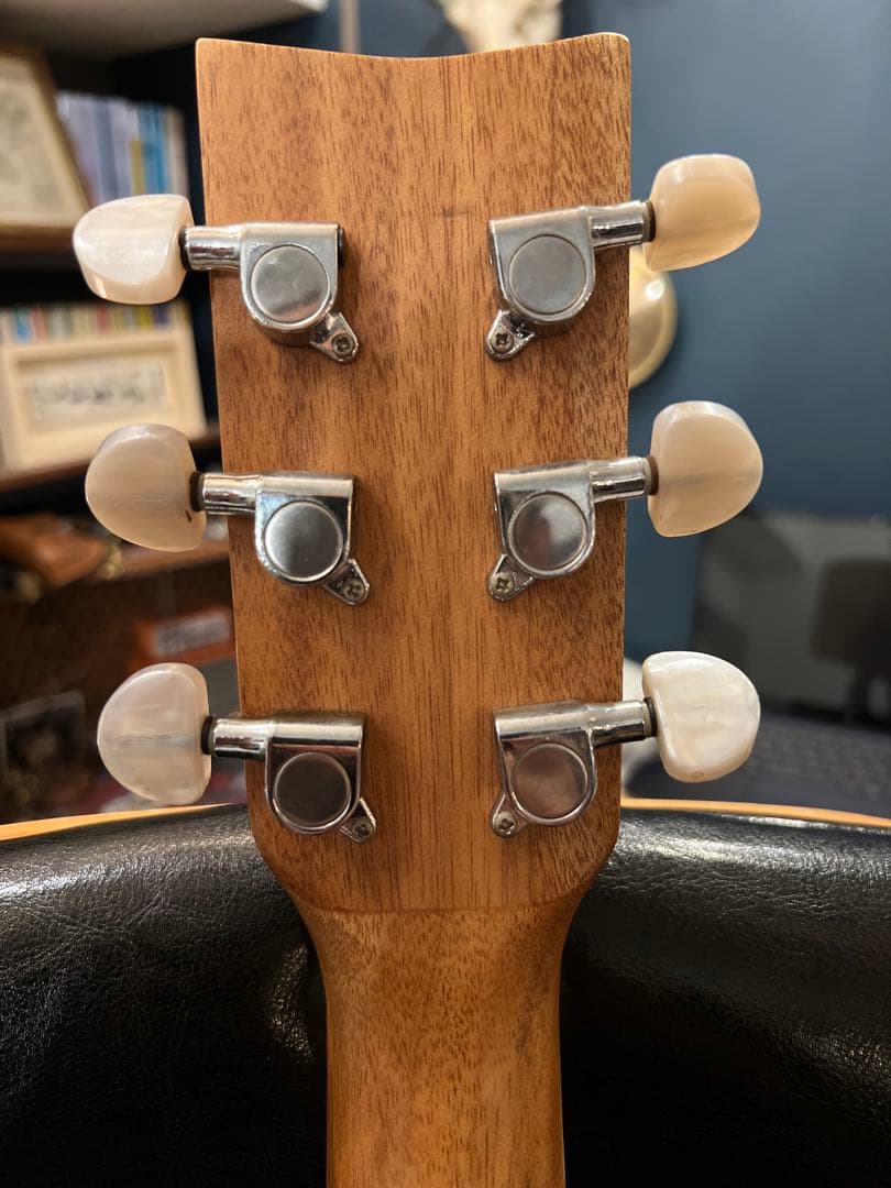 【5/31終了】【良杢目】日本未流通 MONICAアコースティックギター