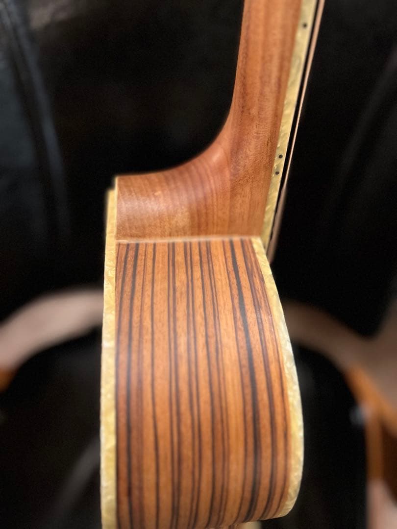 【5/31終了】【良杢目】日本未流通 MONICAアコースティックギター