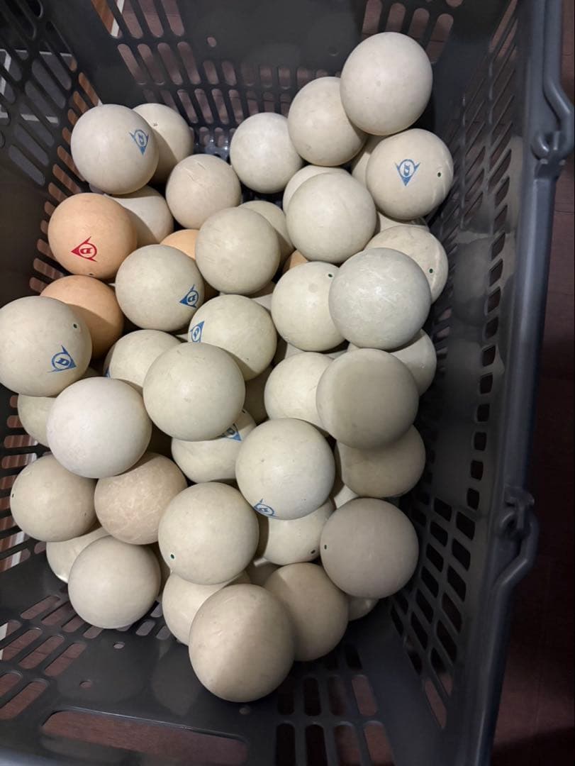 テニスボール 60球