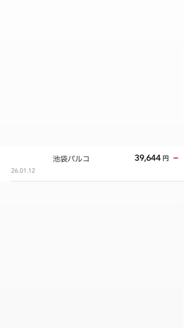 ⭐️大幅値下げ⭐️【ほぼ未使用】Aer City Pack Pro 2　24L