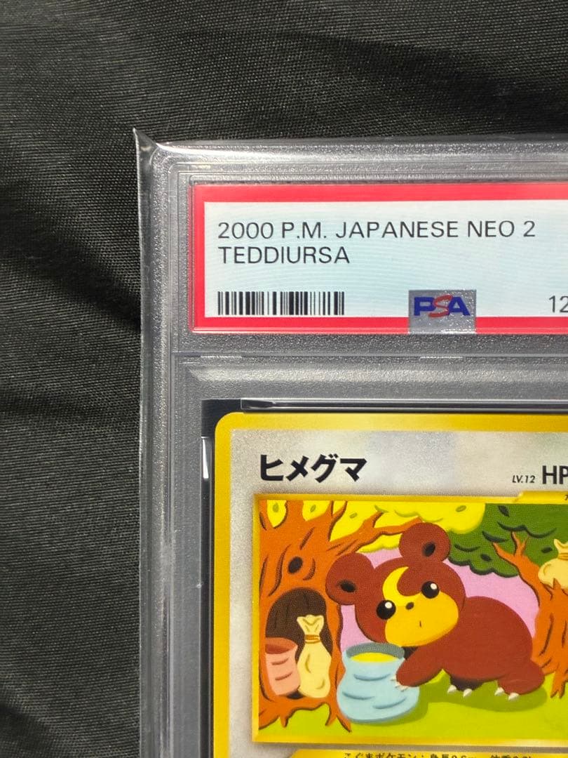 世界65枚 PSA9 ヒメグマ 旧裏 2000 216 33