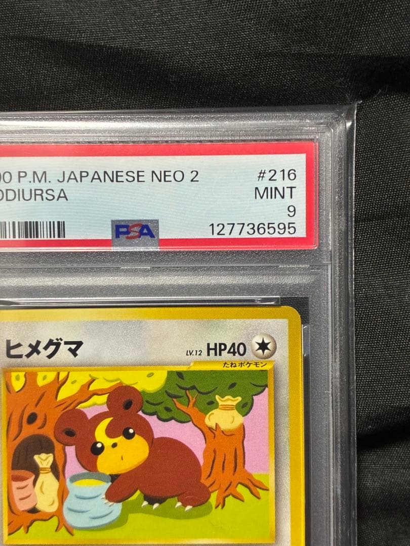 世界65枚 PSA9 ヒメグマ 旧裏 2000 216 33