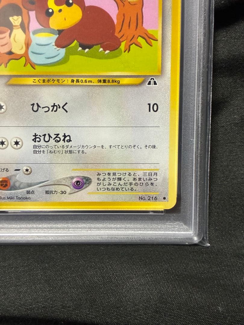 世界65枚 PSA9 ヒメグマ 旧裏 2000 216 33