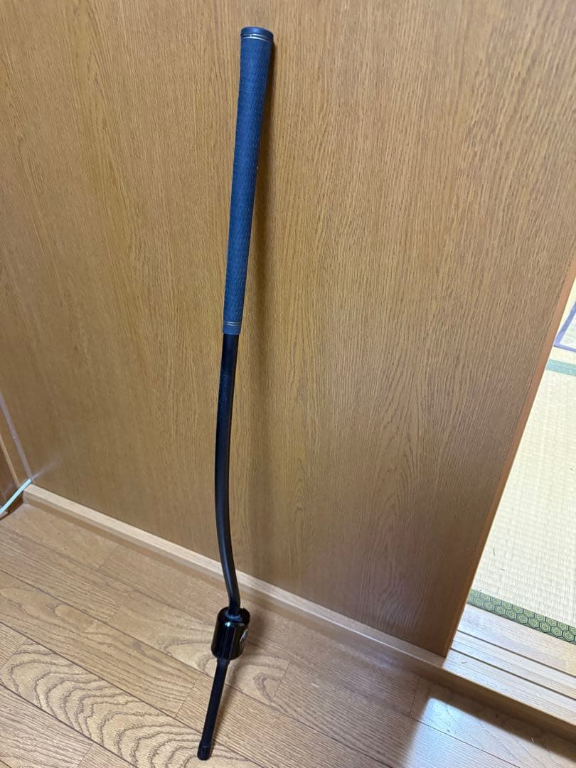 3D Swing Mentorスイングメンター正規品