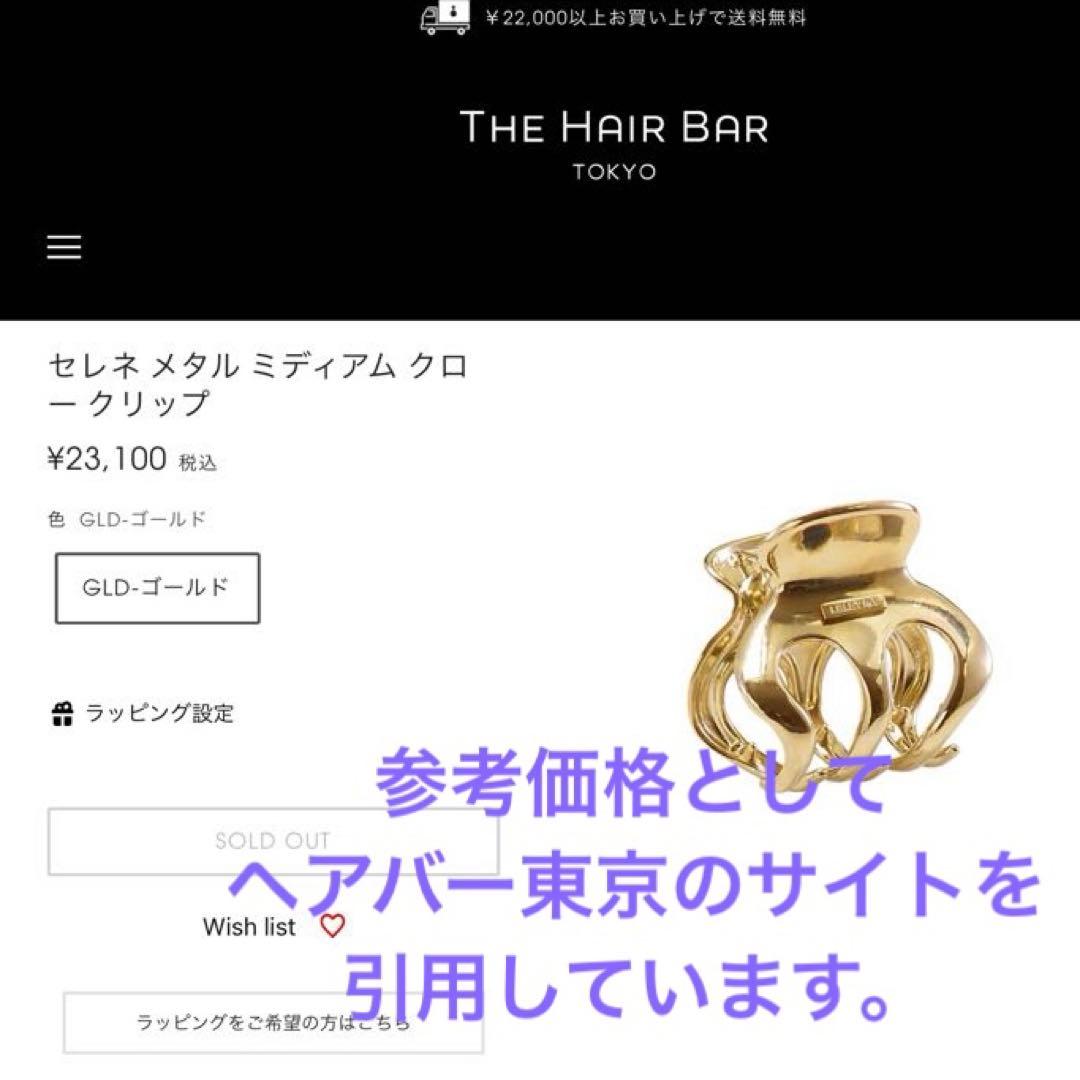 髪の多い方にお勧め　Lelet NY セレネクリップ　ロジウムコーティング