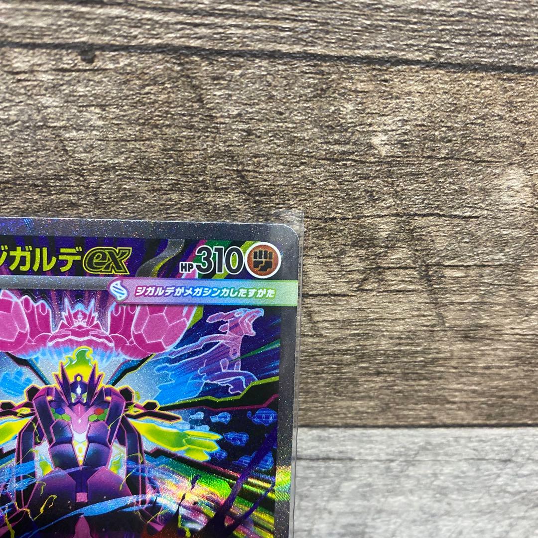 メガジガルデex SAR エラー