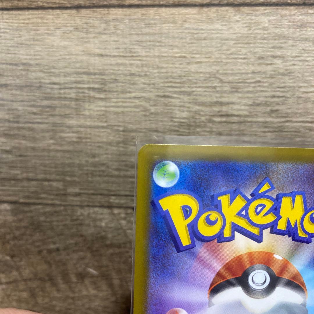 メガジガルデex SAR エラー