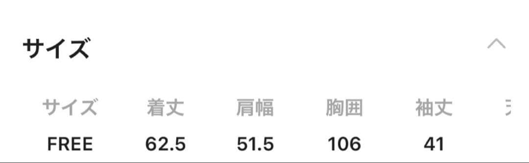 【定番】BRILL★ブリル　ポエットスリーブカットソー　白