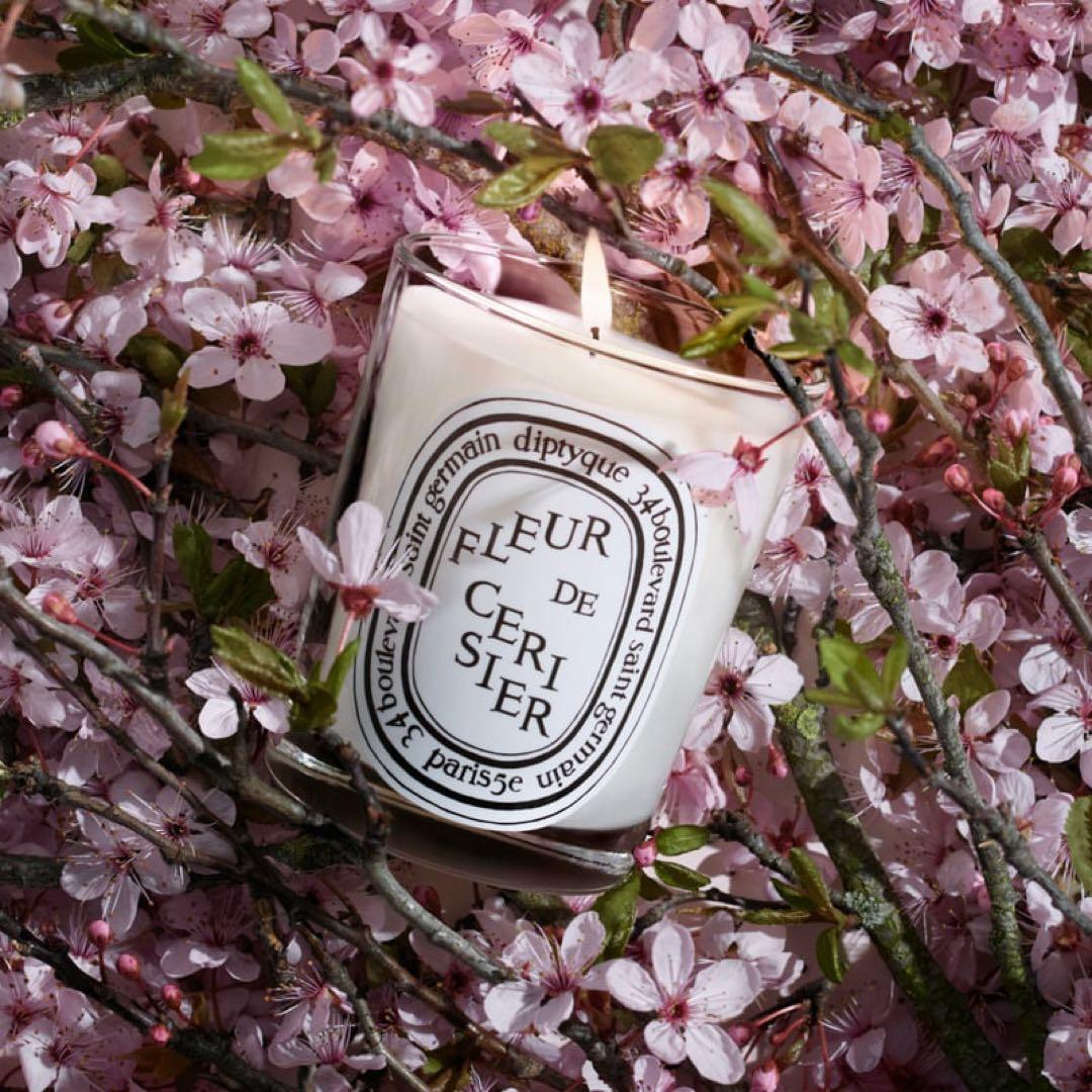diptyque Fleur de Cerisier キャンドル