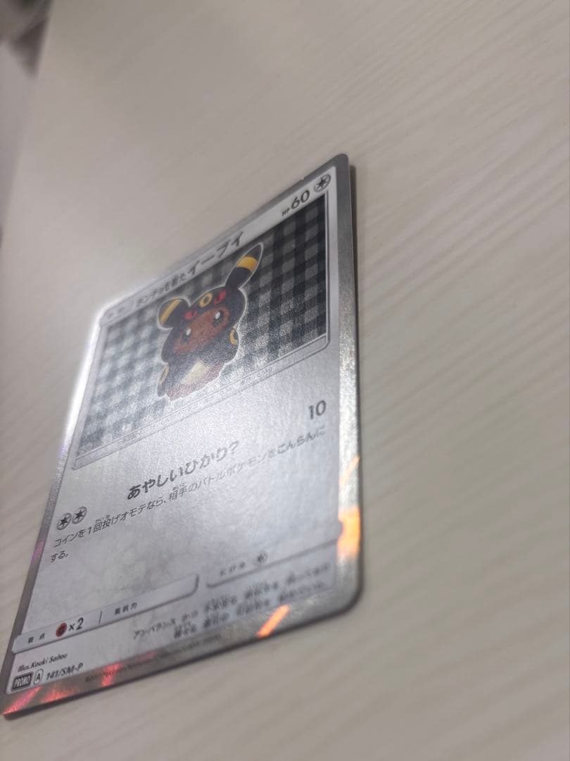 ポンチョを着たイーブイ　ブラッキー