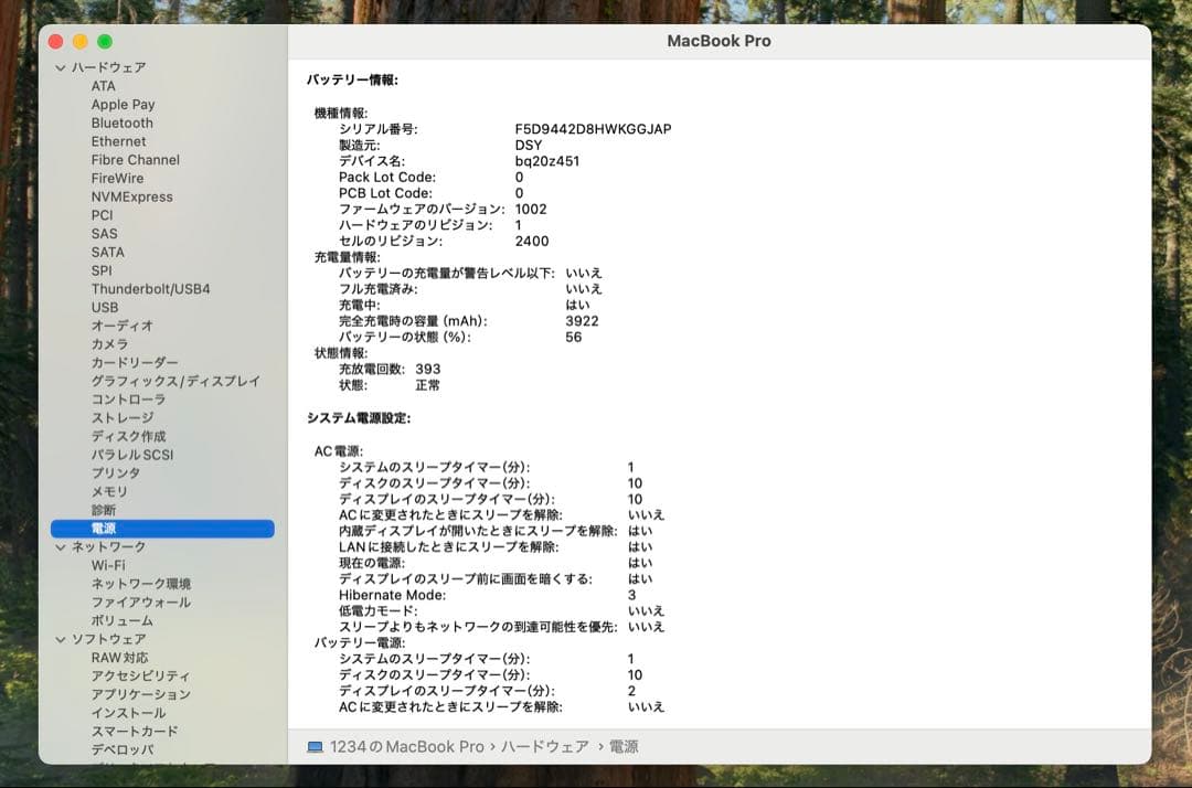 MacBook本体 Apple MacBook Pro 13 2019 i5/8GB/250GB