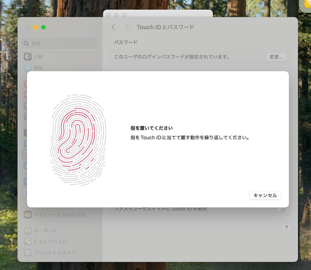 MacBook本体 Apple MacBook Pro 13 2019 i5/8GB/250GB
