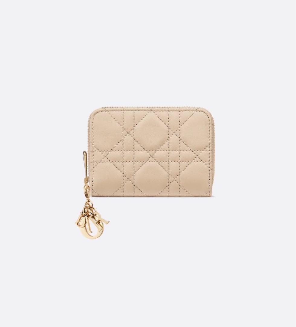 【DIOR】 ジップケース スモール ショッパー・箱付き※説明文要確認