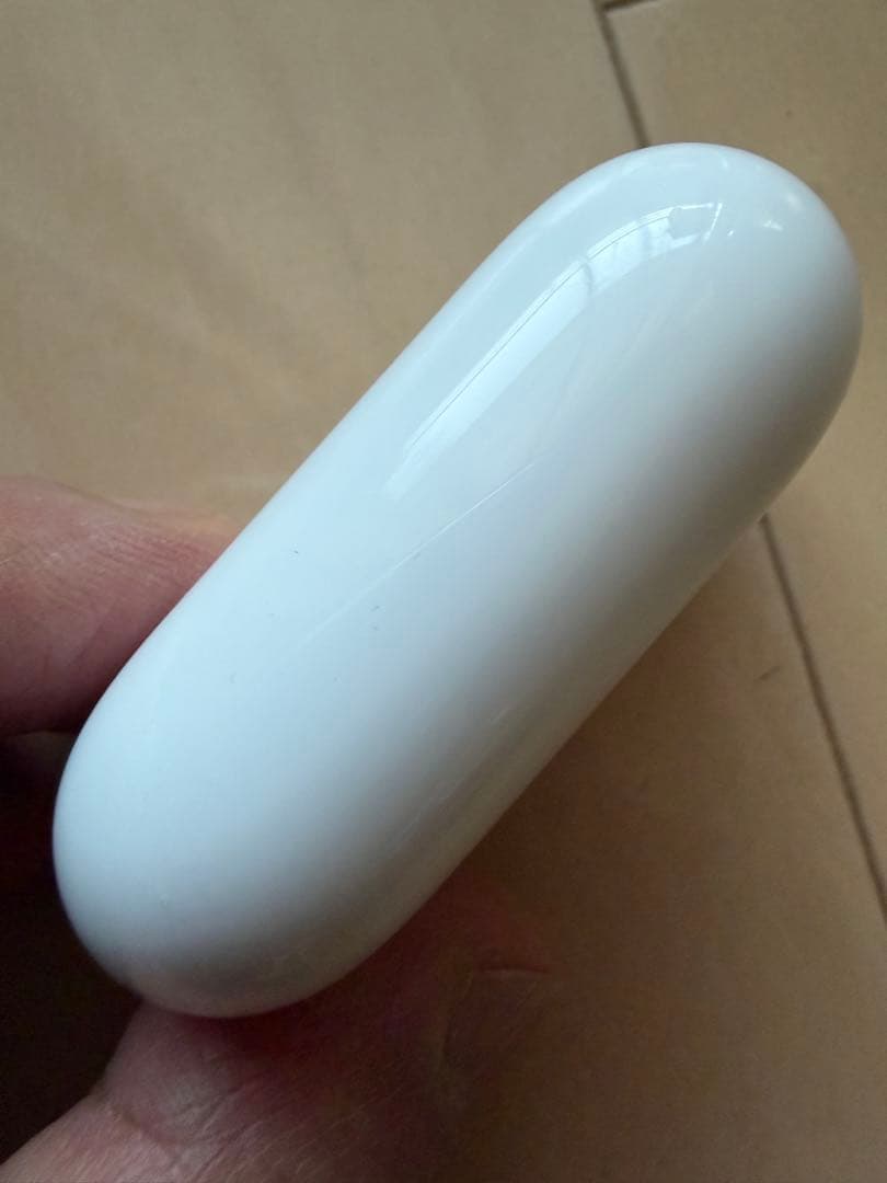 （純正）Apple AirPods Pro2 Type-C 本体