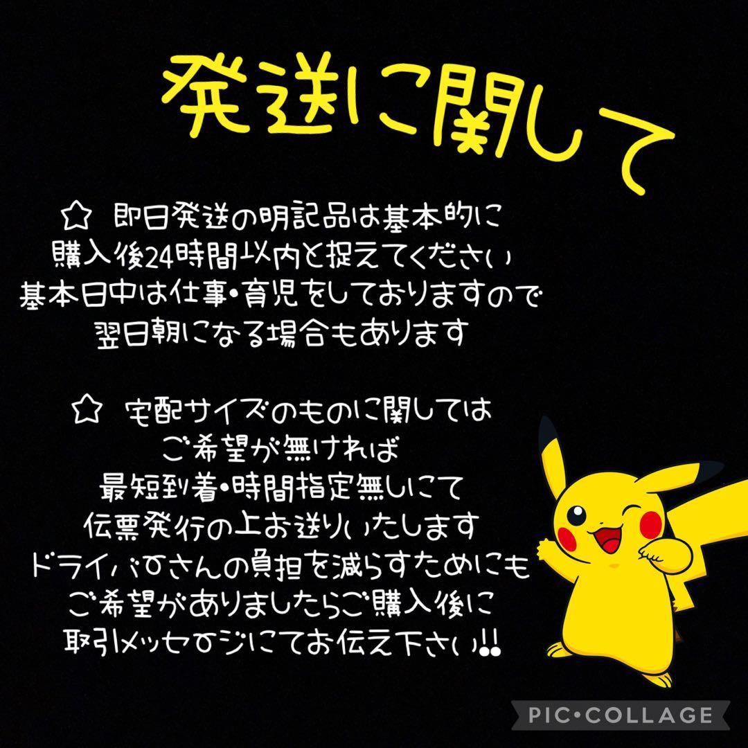 ポケモンカード メガカイリューex SAR 246/193 匿名配送 即日発送