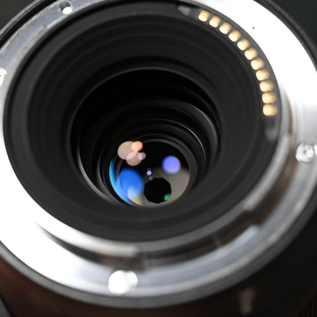 【美品】Nikon Z 50mm MC f2.8 マクロ Macro 【即納】