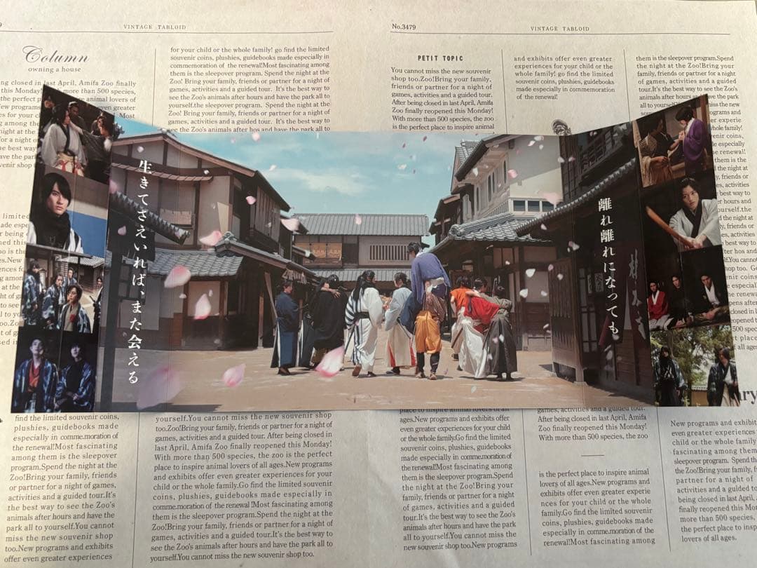 君とゆきて咲く～新選組青春録～ / DVD BOX