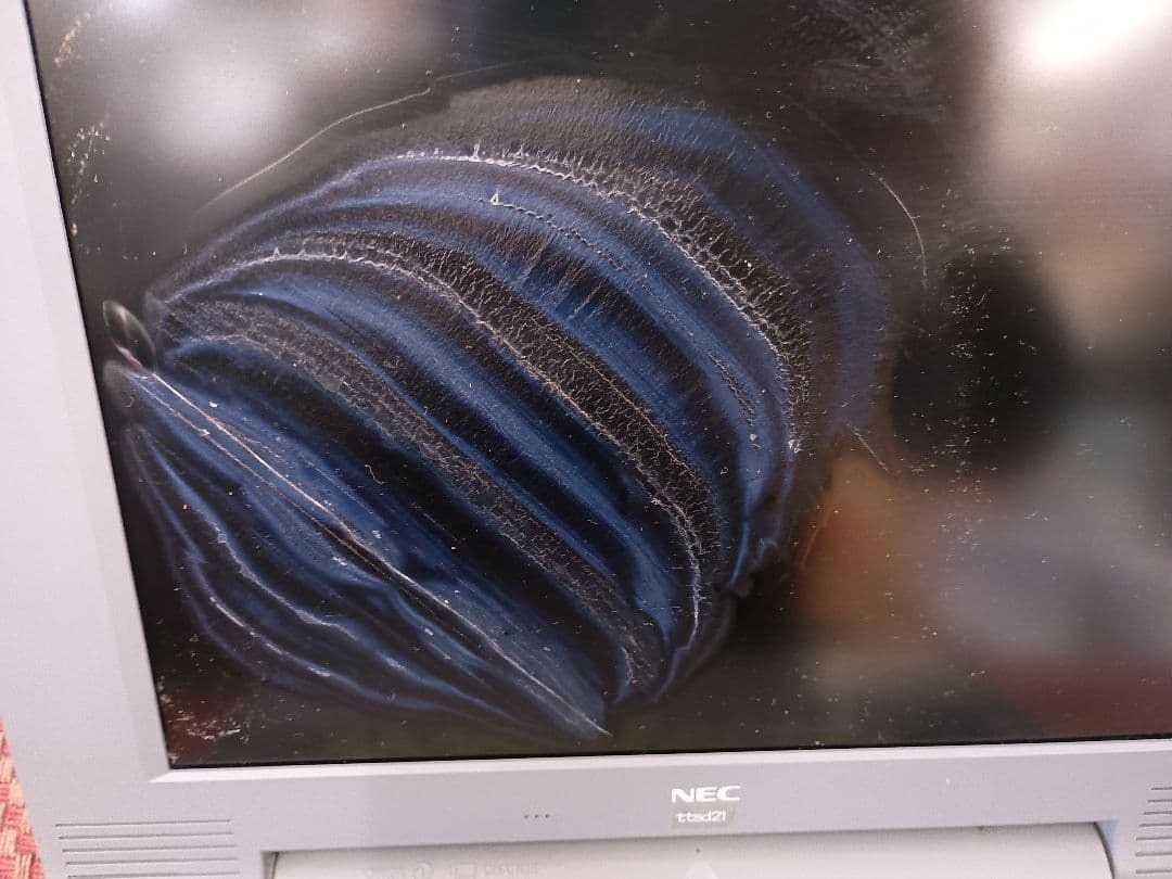 NEC LaVie ノートPC　PC-9821Na15/X14 ジャンク