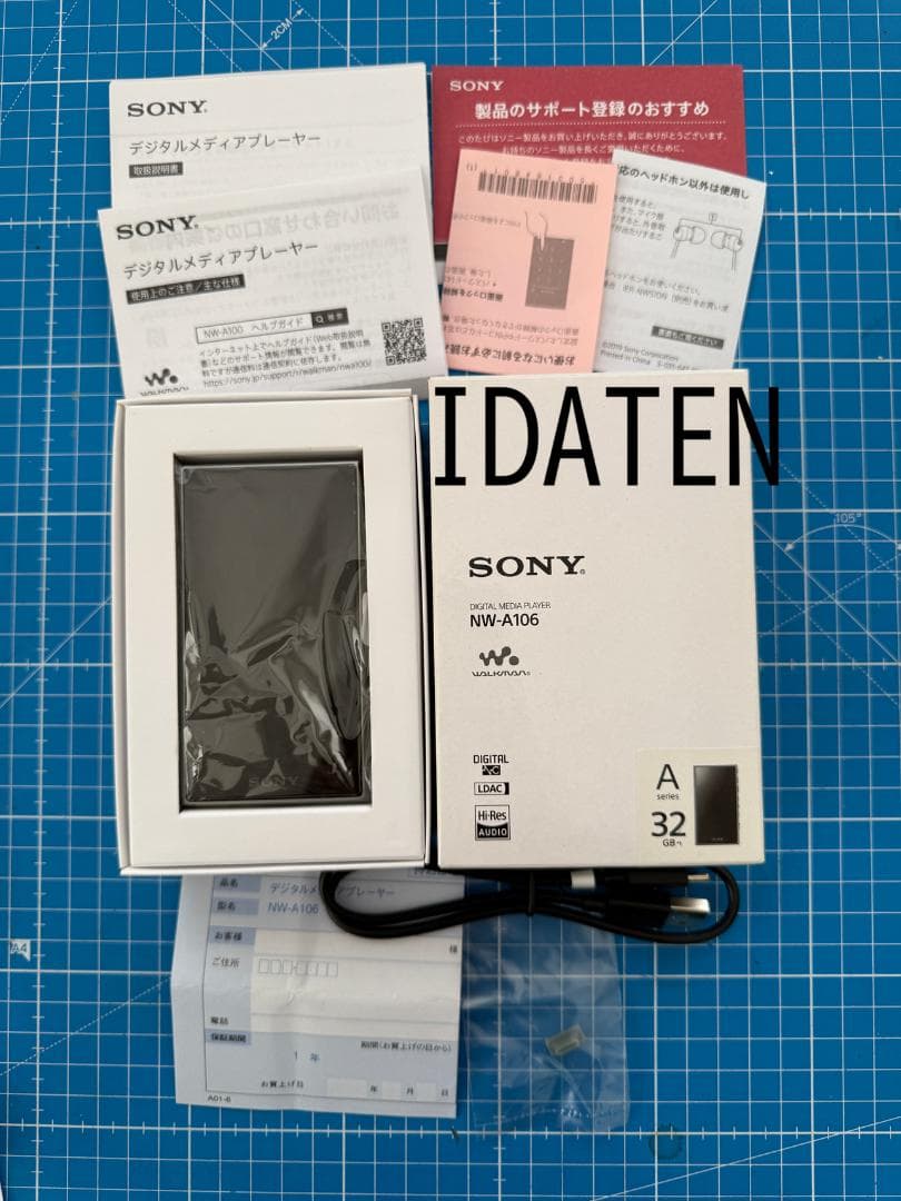 Sony Walkman NW-A106/GC デジタルメディアプレーヤー