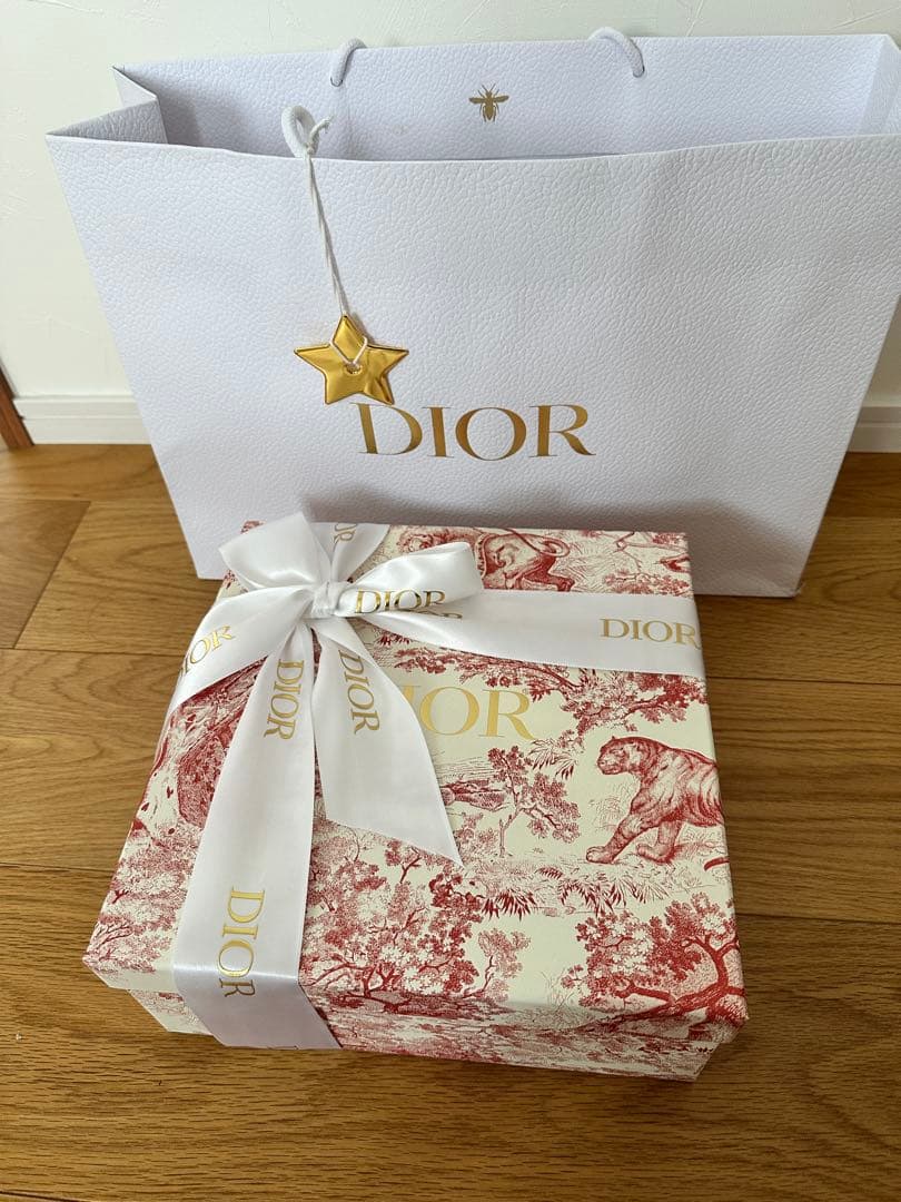 Dior ウォーターボトル　プランドゥパリ　新品ギフト包装