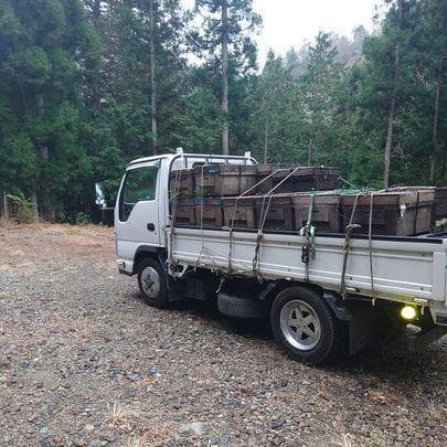 リピーター多数　国産百花蜜 梅酒瓶入り　おまけ付　生産者価格で大放出