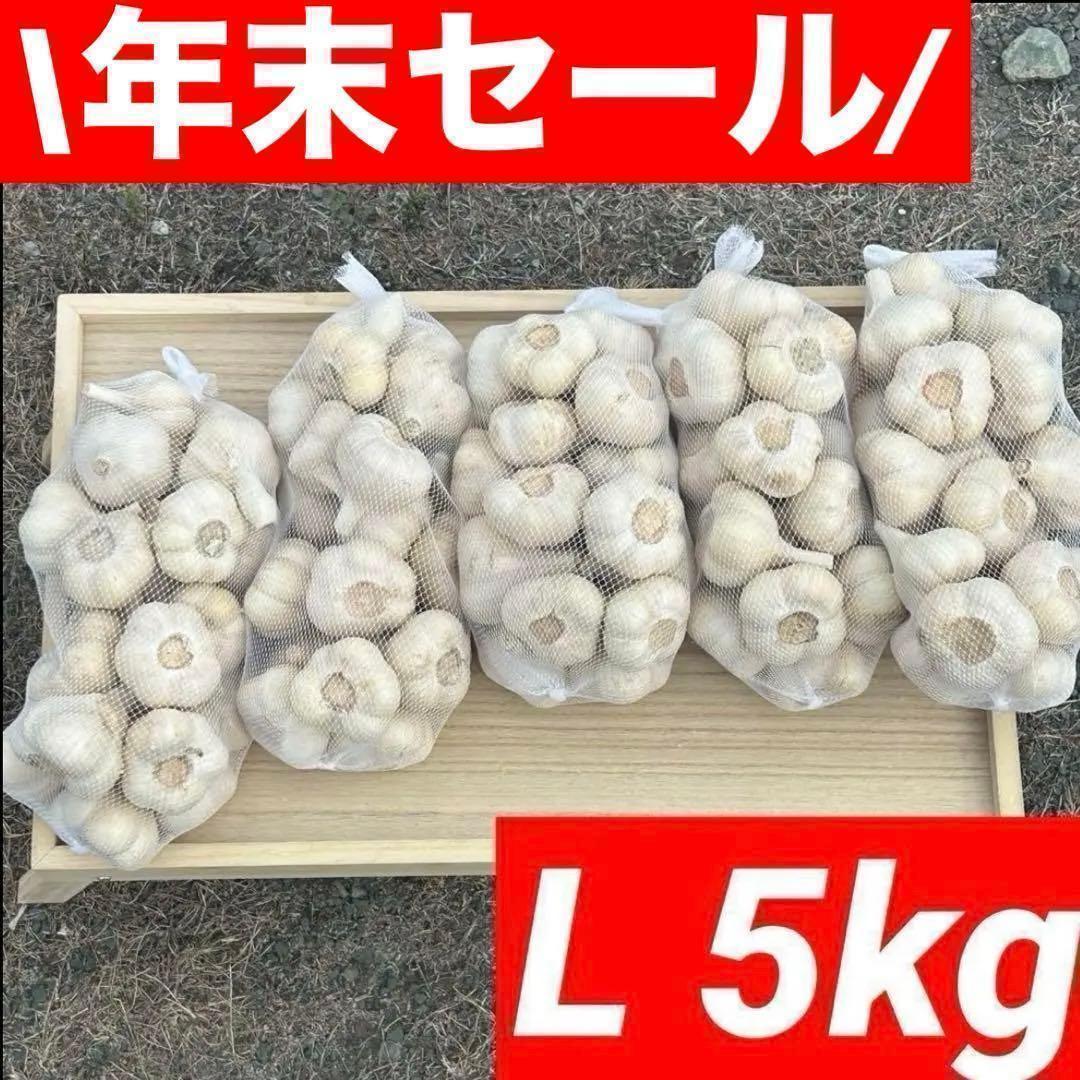 【年末セール】新物 青森県 福地ホワイト にんにく L 5kg 加工 種にんにく