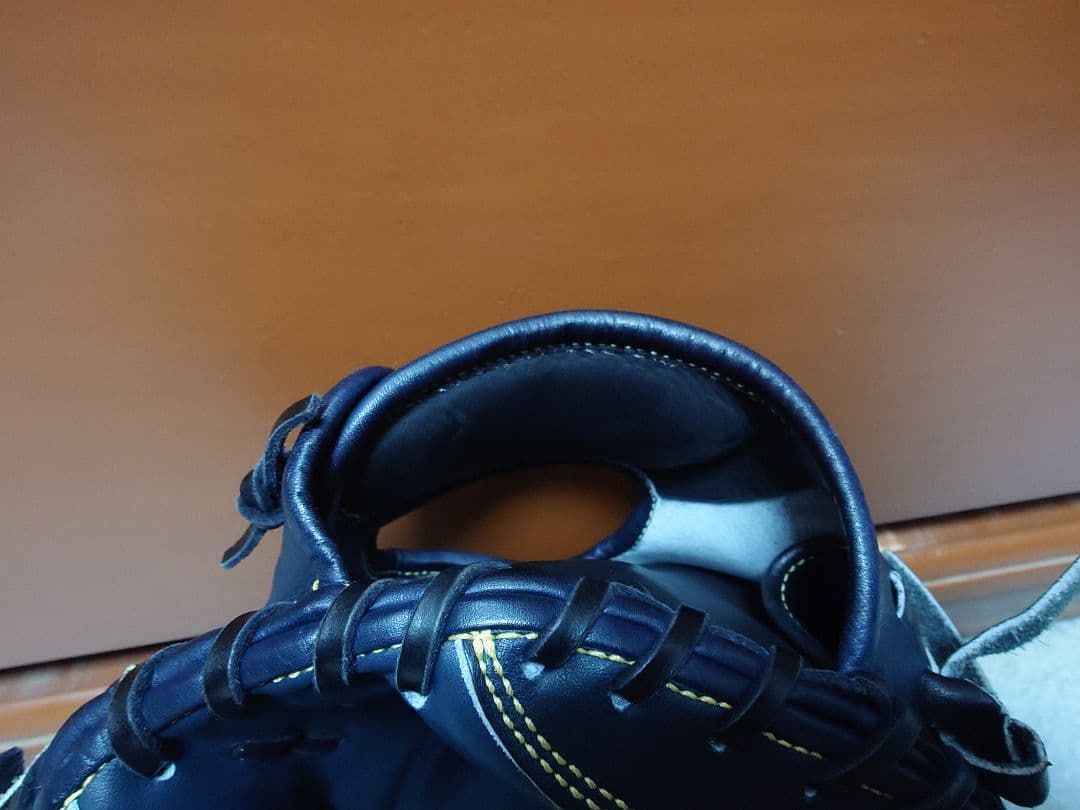 プロ支給品 ミズノプロ キャッチャーミット for Professional