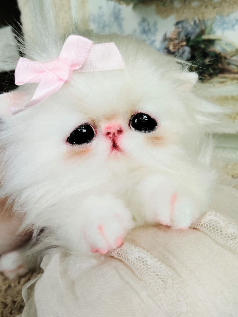 可愛いキャンディちゃん❤エキゾチック子猫ちゃん♡アートドール♡ぬいぐるみ♡