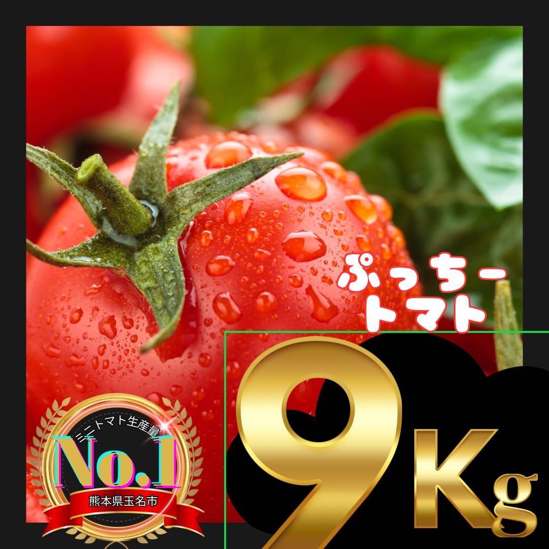 ミニトマト　9キロ　野菜　熊本　おやつ　弁当　おかず　ミネラル　リコピン