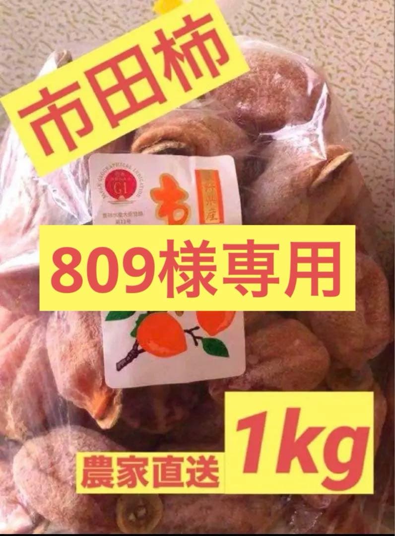 南信州産 市田柿 干し柿 箱込み5kg 長野県産 大好評 バラ売り お徳 家庭用