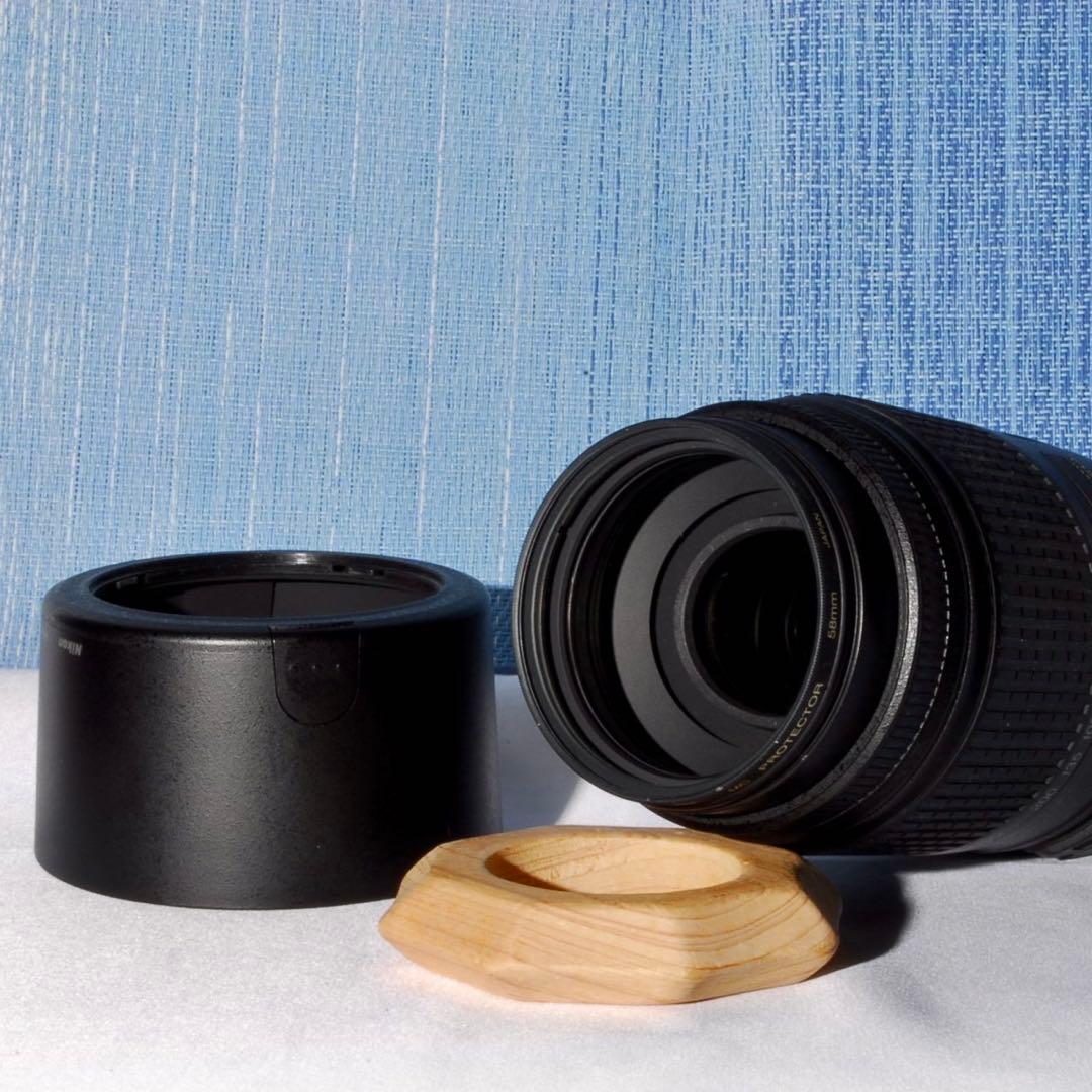 Nikon AF-S DX 55-300mm VR ❤️ 望遠レンズ 手振れ補正