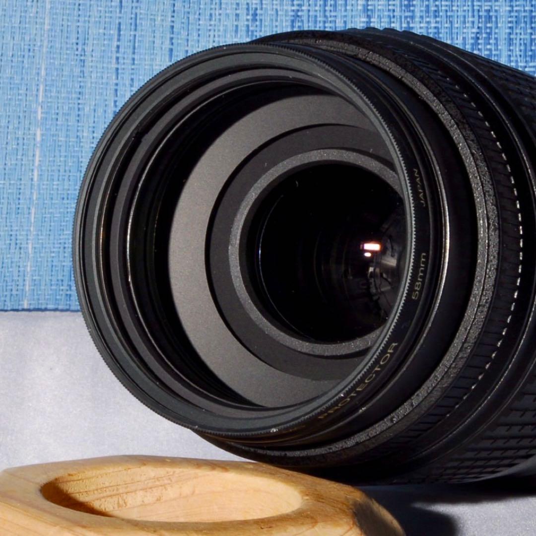 Nikon AF-S DX 55-300mm VR ❤️ 望遠レンズ 手振れ補正