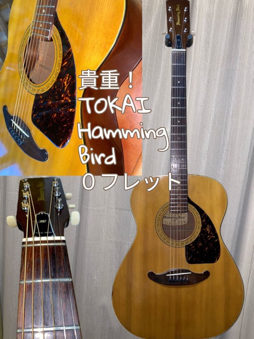 やっほー‼️貴重！トーカイTOKAI 　ハミングバード　０フレット