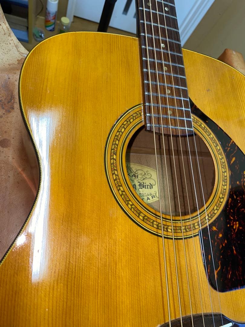 やっほー‼️貴重！トーカイTOKAI 　ハミングバード　０フレット