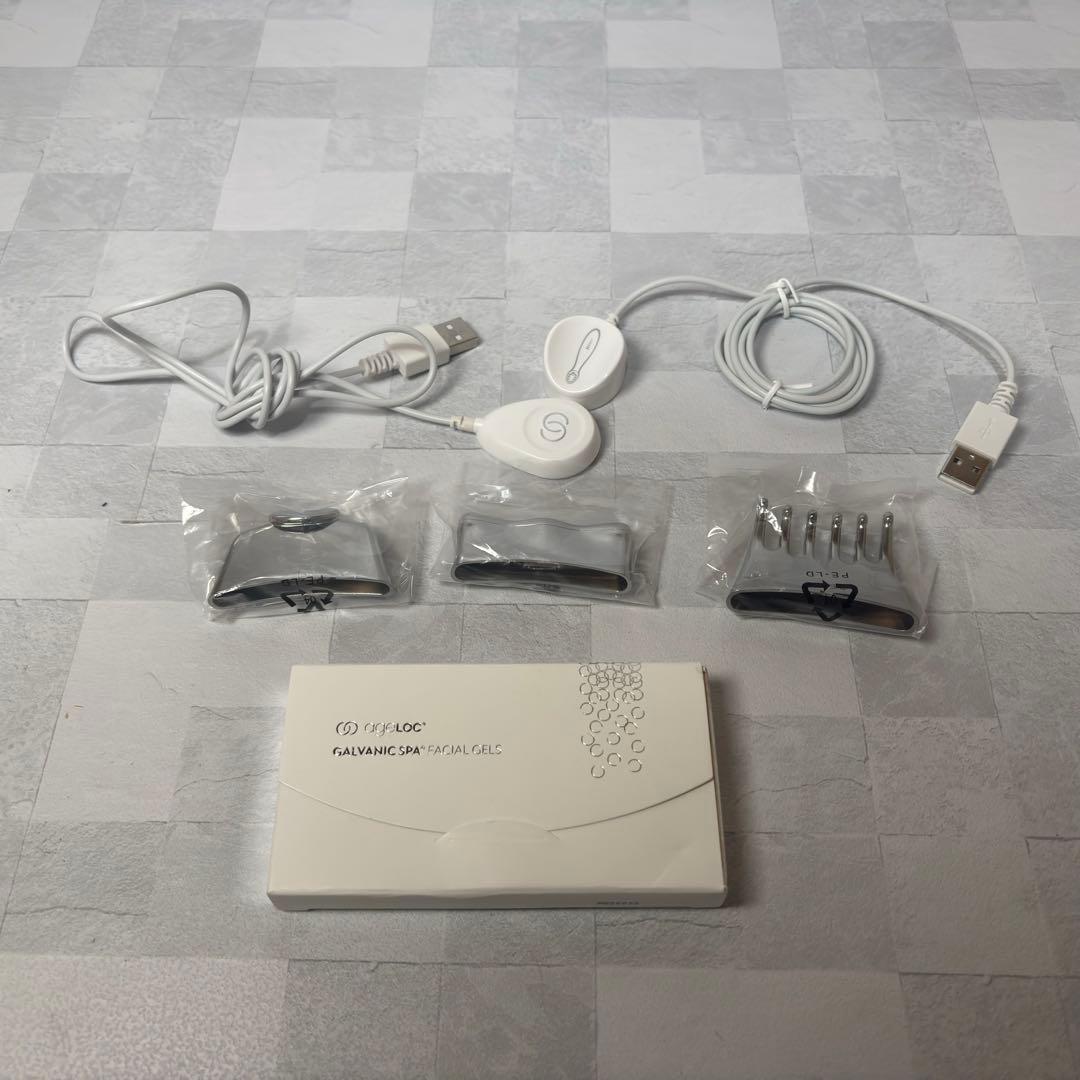 C1110 ニュースキン NU SKIN ルミスパ ブースト ガルバニック スパ