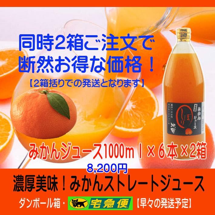 【Michi】みかんジュース1000ｍｌ×12本×２個口発送