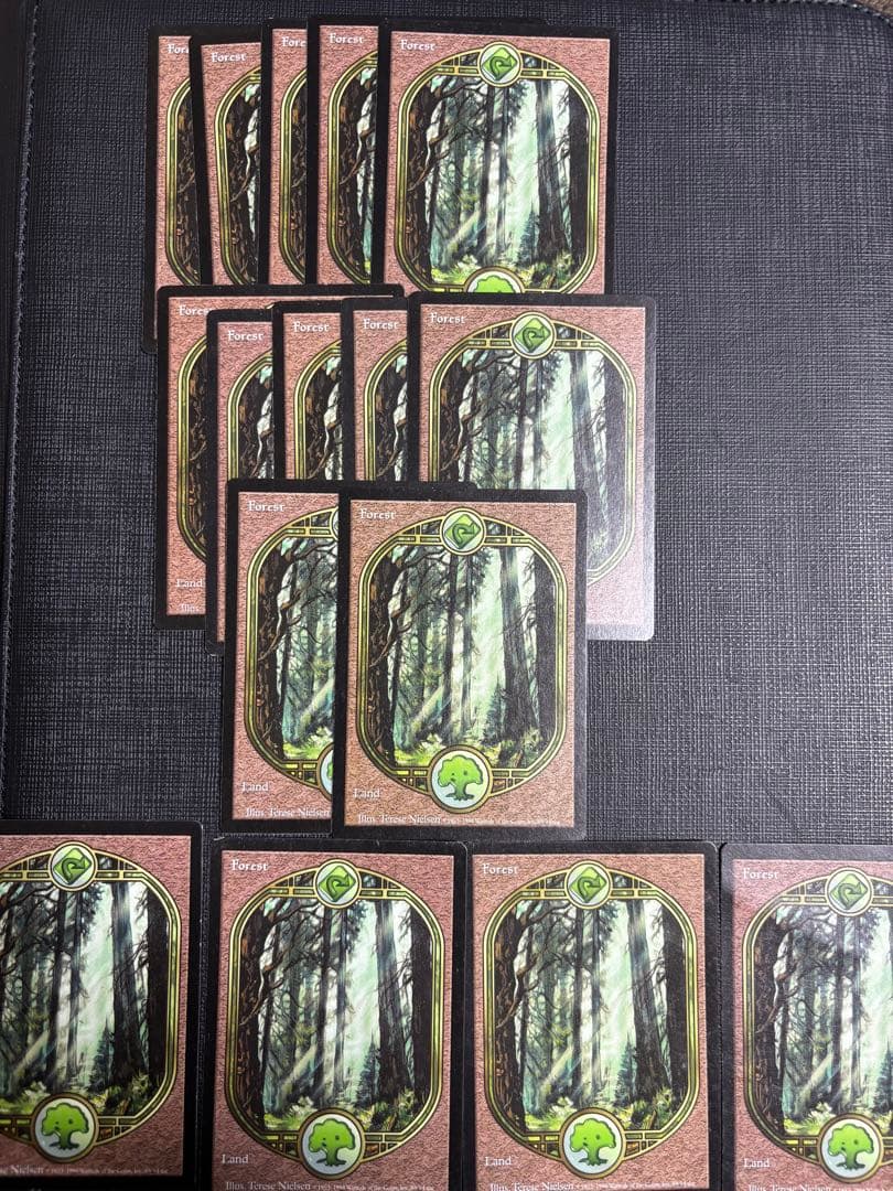 アングルード森